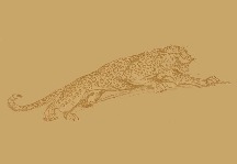 Jaguar catalogue 1937