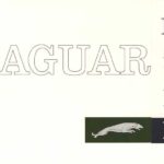 Jaguar Mark X USA broshure 1964