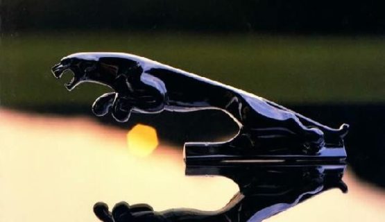 Jaguar small range brochure 1986