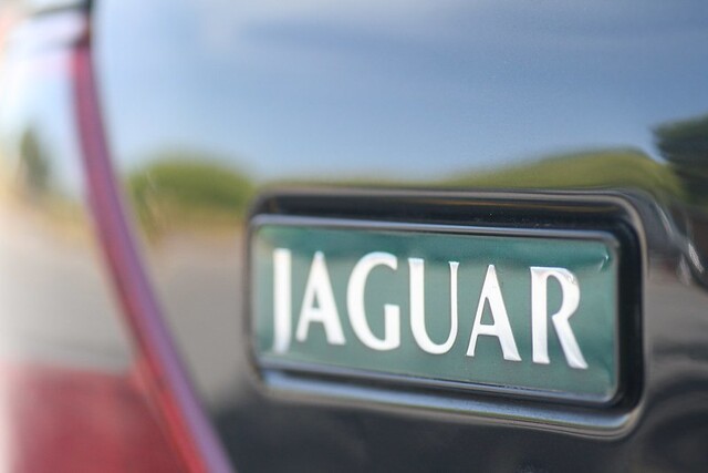 Jaguar Brend