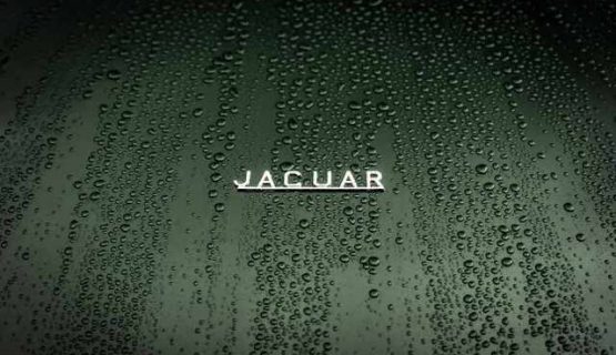 Jaguar E-Type Celebrating 06